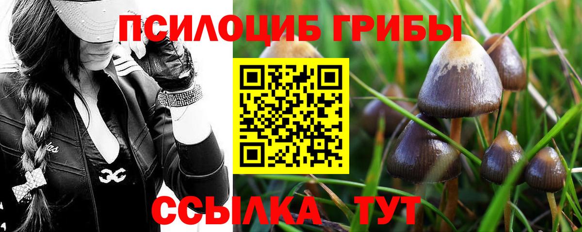 Галлюциногенные грибы мухоморы  Вход с VPN  Красногорск 