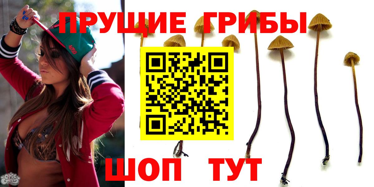 Псилоцибиновые грибы ЛСД Красногорск